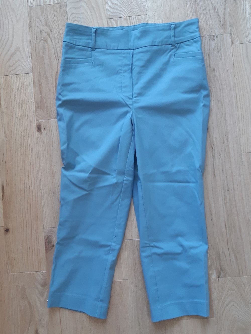 Reitmans The Iconic Pull on Pants Light Blue